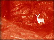 Load image into Gallery viewer, Seek Thermal RevealXR - RT-ABA