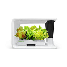 Load image into Gallery viewer, AS9001 Lettuce Selected (8 Capsules)