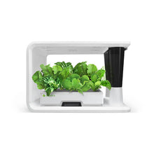 Load image into Gallery viewer, AS9017 Radish (8 Capsules)