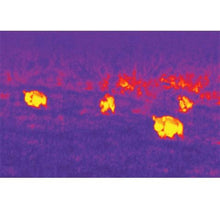Load image into Gallery viewer, Seek Thermal CompactXR - LT-AAA